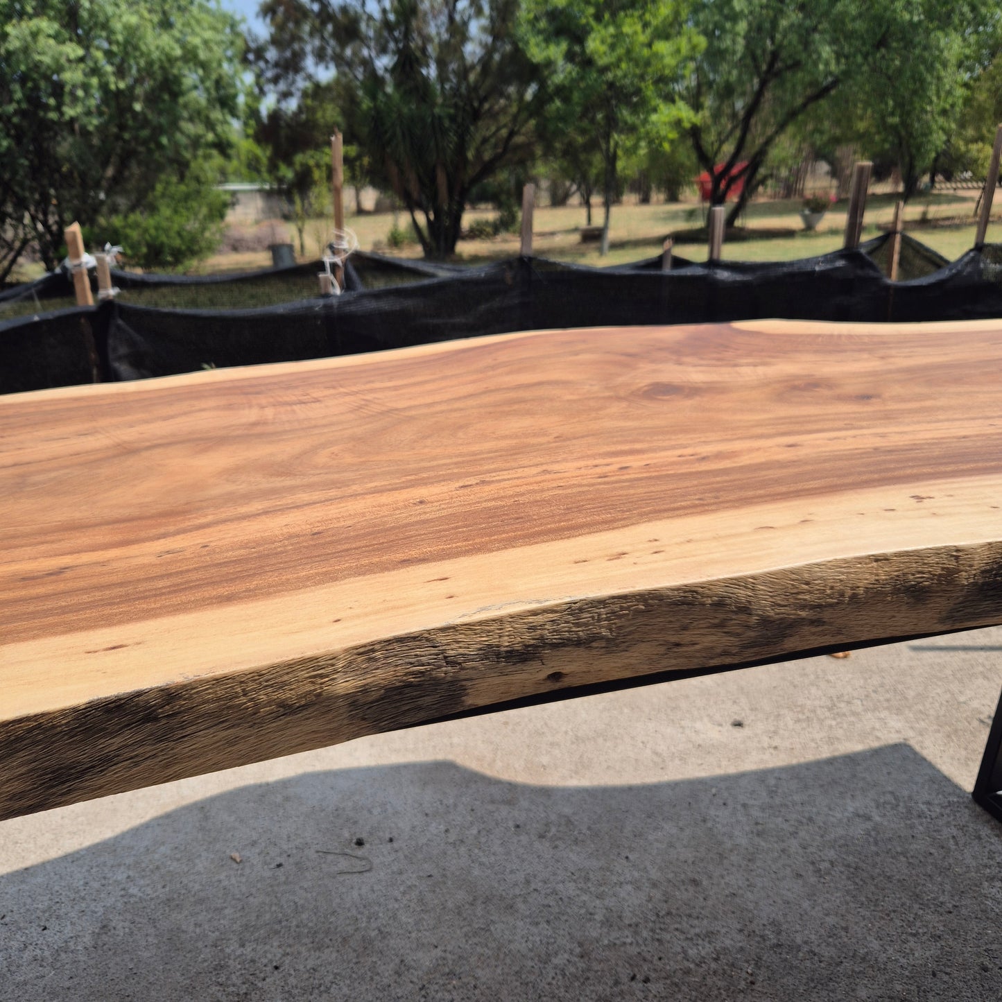 Live Edge Dining Table